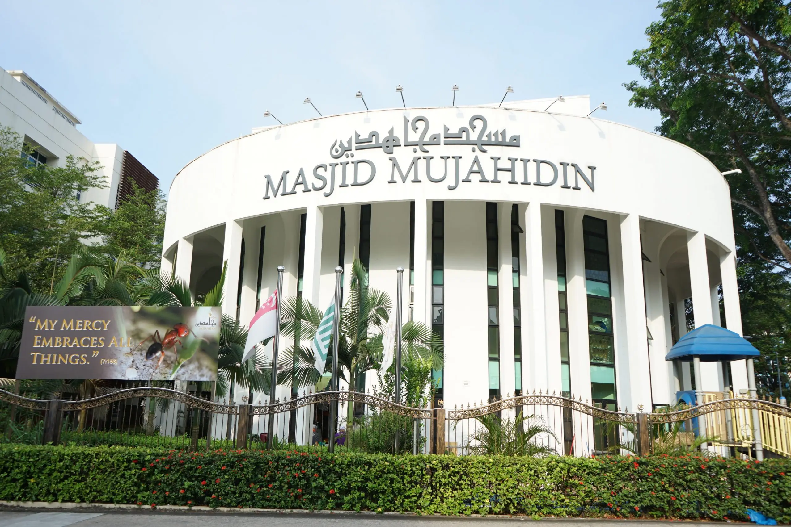 mujahidin